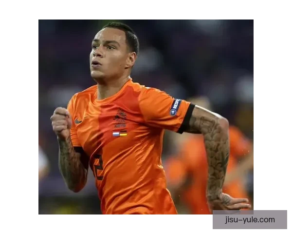 范德维尔揭露抑郁症困扰 足球成我心灵监狱 范德维尔揭露抑郁症困扰 足球成我心灵监狱